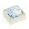 JellyCat Bashful Blue Bunny Gift Set