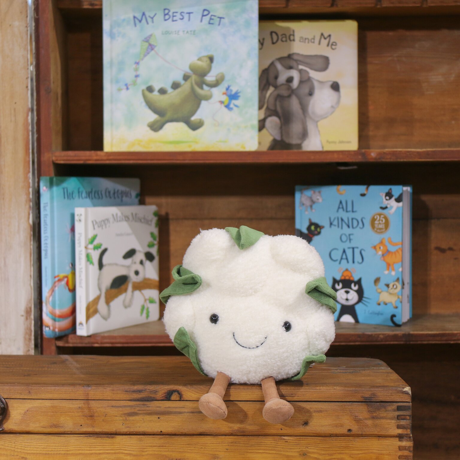 JELLYCAT Store 31 JELLYCAT Store -JELLYCAT Store jellycat amuseable cauliflower 1536x1536 66602721ba84b l